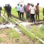 Burkina Faso : Création de l’Alliance des producteurs de semences agricoles du Sahel, un pas décisif vers la souveraineté alimentaire.