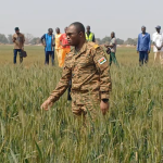 Burkina Faso : Campagne agropastorale 2025, le ministre d’État Ismaël Sombié félicite les éleveurs de la Bougouriba pour leur résilience.
