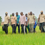 Burkina Faso : Offensive agricole, le Premier ministre félicite les producteurs de Bama pour leur résilience exemplaire