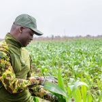 Burkina Faso : Plus de 164 milliards FCFA de prêts et dons pour transformer l’agriculture