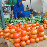 Soudan : Le marché aux bestiaux d&rsquo;El Fasher, pilier de l&rsquo;économie du Darfour